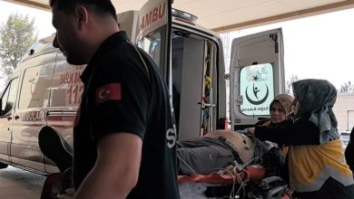 Ağaçtan düşen adam hayatını kaybetti 4 agactan dusen adam hayatini kaybetti 01bf33de5bbf |