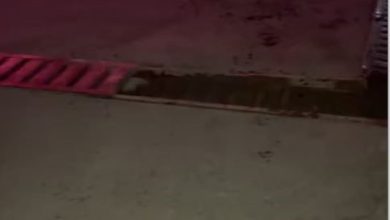 akaryakit istasyonu girisinde ilginc kaza yerinden cikan mangal otomobilin motor kismina carpti 6337bdba95a6 |