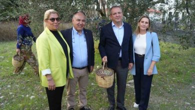 Ali Uçar: "Zeytinyağında hedef markalaşmak" 5 ali ucar zeytinyaginda hedef markalasmak 48db74bdbb89 |
