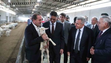 Aliağa, kırsal kalkınmada örnek olmaya devam ediyor 5 aliaga kirsal kalkinmada ornek olmaya devam ediyor e0a201e7ab17 |