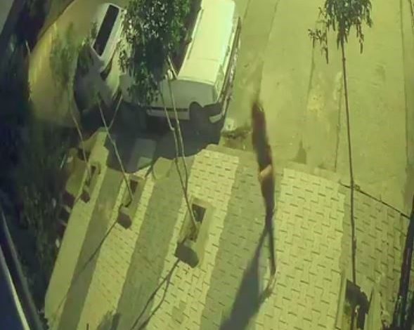 arnavutkoyde faciadan donuldu freni patlayan arac cocuklarin arasina boyle daldi 7bca57983aab |