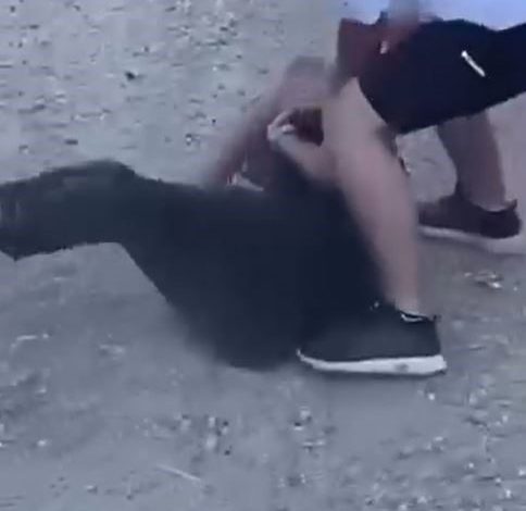 Arnavutköy’de gençlerin acımasızca kavgası kamerada 1 arnavutkoyde genclerin acimasizca kavgasi kamerada 12a9de1b111d |