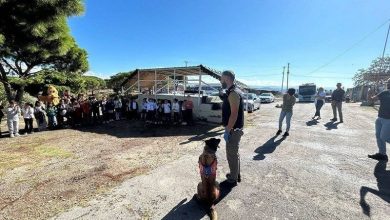 Ayvalık’ta öğrenciler narkotik köpeğiyle bir araya geldi 3 ayvalikta ogrenciler narkotik kopegiyle bir araya geldi 884cfcef15fe |