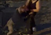 bahcelievlerde pitbull cinsi kopek sahibine saldirdi dehset anlari kamerada 4e450ede62ec |