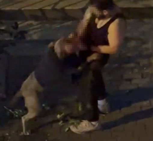 bahcelievlerde pitbull cinsi kopek sahibine saldirdi dehset anlari kamerada 4e450ede62ec |