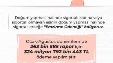 bakan isikhan emzirme odenegi 263 binden fazla rapor icin toplam 325 milyon liraya yakin odeme yaptik 55910cd9d3dc |