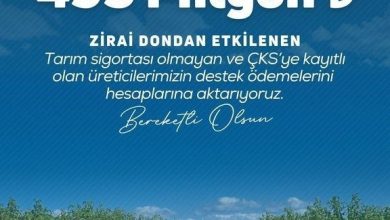 bakan yumakli ureticilerimize toplamda 20 milyar 423 milyon lira zirai don destek odemesi gerceklestirdik 8630ec4b2684 |