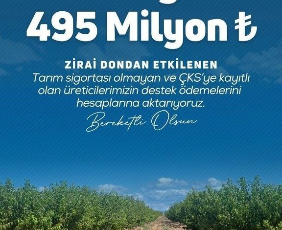 Bakan Yumaklı: "Üreticilerimize toplamda 20 milyar 423 milyon lira zirai don destek ödemesi gerçekleştirdik" 1 bakan yumakli ureticilerimize toplamda 20 milyar 423 milyon lira zirai don destek odemesi gerceklestirdik 8630ec4b2684 |