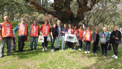 Balıkesir’de meşe palamutları öğrencilerin elinde fidana dönüşecek 2 balikesirde mese palamutlari ogrencilerin elinde fidana donusecek 5fe6375a93ec |