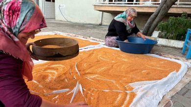 balikesirli kadinlar imece usuluyle kisa hazirlaniyor 0404b803c919 |