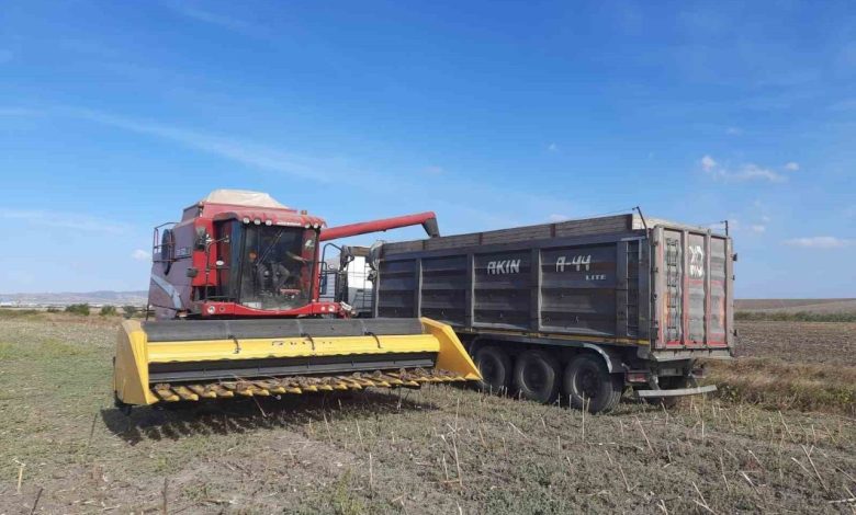 bandirma merinosta aycicegi hasadi tamamlandi cec7b3bfd836 |