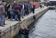 bandirmada iddiayi kaybeden genc kis gunu denize atladi 162cfd89db21 |