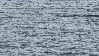 Batması sonucu 3 kişinin hayatına mal olan tekne incelenecek 3 batmasi sonucu 3 kisinin hayatina mal olan tekne incelenecek d27e1b51514e |