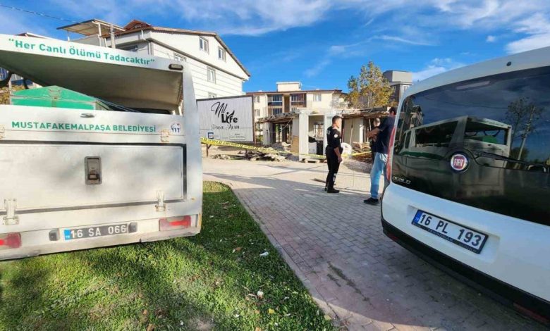 Bursa’da 65 yaşındaki bekçi çalıştığı şantiyede ölü bulundu 1 bursada 65 yasindaki bekci calistigi santiyede olu bulundu b0f3fdc04b9f |