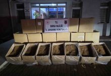 bursada 750 kilogram kacak tutun ele gecirildi 1280ab0f333e |