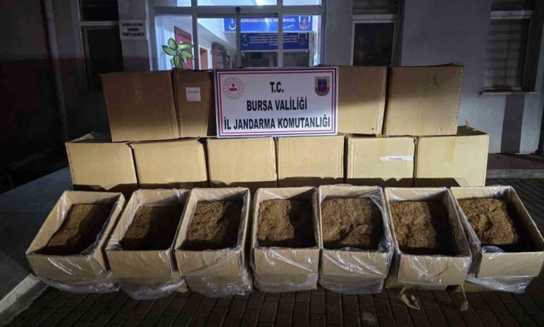 Bursa’da 750 kilogram kaçak tütün ele geçirildi 1 bursada 750 kilogram kacak tutun ele gecirildi 1280ab0f333e |