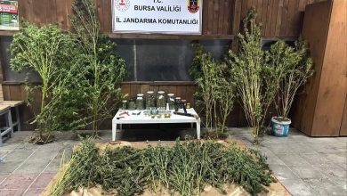 bursada 9 kilo 400 gram esrar ele gecirildi cb247aefbe24 |