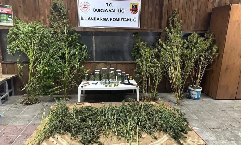 bursada 9 kilo 400 gram esrar ele gecirildi cb247aefbe24 |