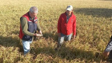 canakkalede dolunun ardindan bahcelerde hasar tespit calismalari basladi a27bba2c3323 |