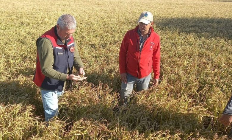 canakkalede dolunun ardindan bahcelerde hasar tespit calismalari basladi a27bba2c3323 |