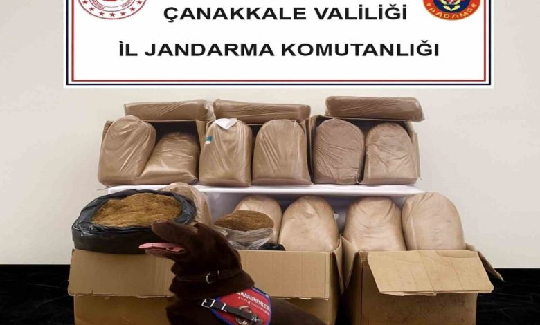 Çanakkale’de kaçakçılık operasyonu 1 canakkalede kacakcilik operasyonu 52cf40dd5f41 |