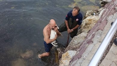 Deniz kenarında sıkışan köpek için kurtarma operasyonu 5 deniz kenarinda sikisan kopek icin kurtarma operasyonu 9aa989706aff |