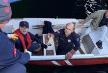 erdekte denize dusen yavru kedi kurtarildi d5d2e4dc09c8 |