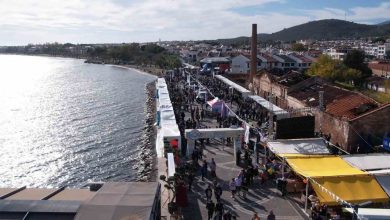 FestOlive Edremit Zeytinyağı Tadım Festivalini 57 bin kişi ziyaret etti 117 festolive edremit zeytinyagi tadim festivalini 57 bin kisi ziyaret etti 237dcaba9e33 |