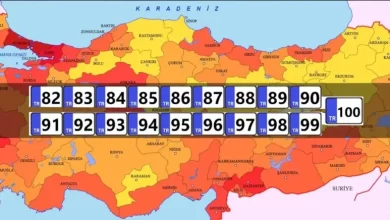 Edremit 87 plaka ile il oluyor 3 fotojpg bFKNnvfXvEy5kQe6znDk6g |