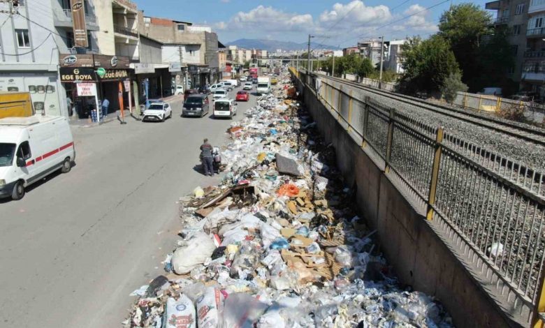 grev bitti bucanin cop cilesi bitmedi 43d269f2aad2 |