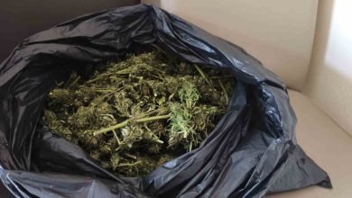Güvercin kümesinde uyuşturucu ele geçirildi 5 guvercin kumesinde uyusturucu ele gecirildi 64c1dd734111 |