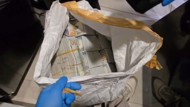 istanbul merkezli 7 ilde dag grup operasyonu 50 gozalti 2259b29ae486 |