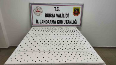 Jandarma’dan İznik’te tarihi operasyon 2 jandarmadan iznikte tarihi operasyon 4aaa632fd164 |