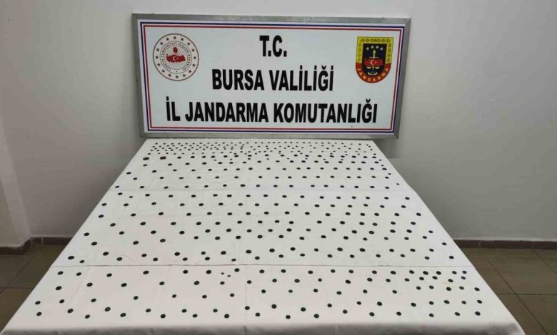 Jandarma’dan İznik’te tarihi operasyon 1 jandarmadan iznikte tarihi operasyon 4aaa632fd164 |