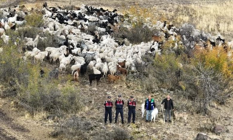 Kayıp 544 adet küçükbaş hayvanı dron ile bulunup sahibine teslim edildi 1 kayip 544 adet kucukbas hayvani dron ile bulunup sahibine teslim edildi d9101a46d7e8 |