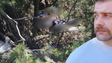 Kazadan 26 saat sonra bulundu, 110 gün sonra hayatını kaybetti 6 kazadan 26 saat sonra bulundu 110 gun sonra hayatini kaybetti 39515bcbd612 |