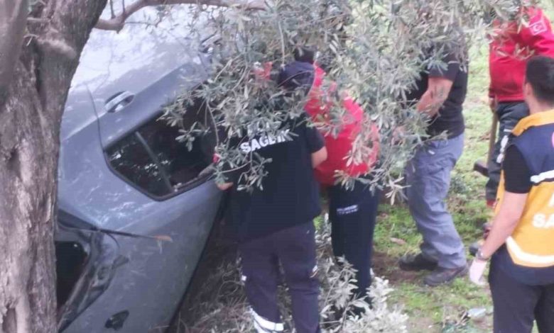Kontrolü kaybetti zeytin bahçesine uçtu: 2 yaralı 1 kontrolu kaybetti zeytin bahcesine uctu 2 yarali d9408ae4da39 |