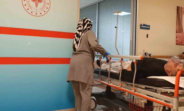 Mantar yedi hastanelik oldu 1 mantar yedi hastanelik oldu 133d75c1d638 |