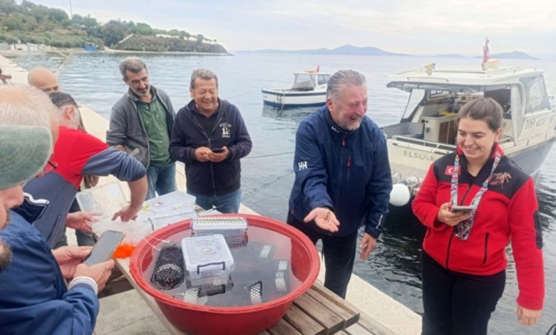 Marmara’da 400 ıstakoz yavrusu yapay resiflere bırakıldı 1 marmarada 400 istakoz yavrusu yapay resiflere birakildi 8806fcc39a83 |