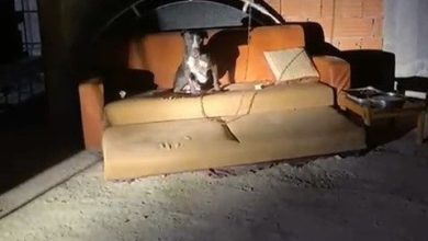 Panik yaşayan mahalle sakinleri konuştu 5 panik yasayan mahalle sakinleri konustu 2f82c1ee2ded |