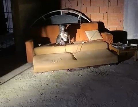 Panik yaşayan mahalle sakinleri konuştu 1 panik yasayan mahalle sakinleri konustu 2f82c1ee2ded |