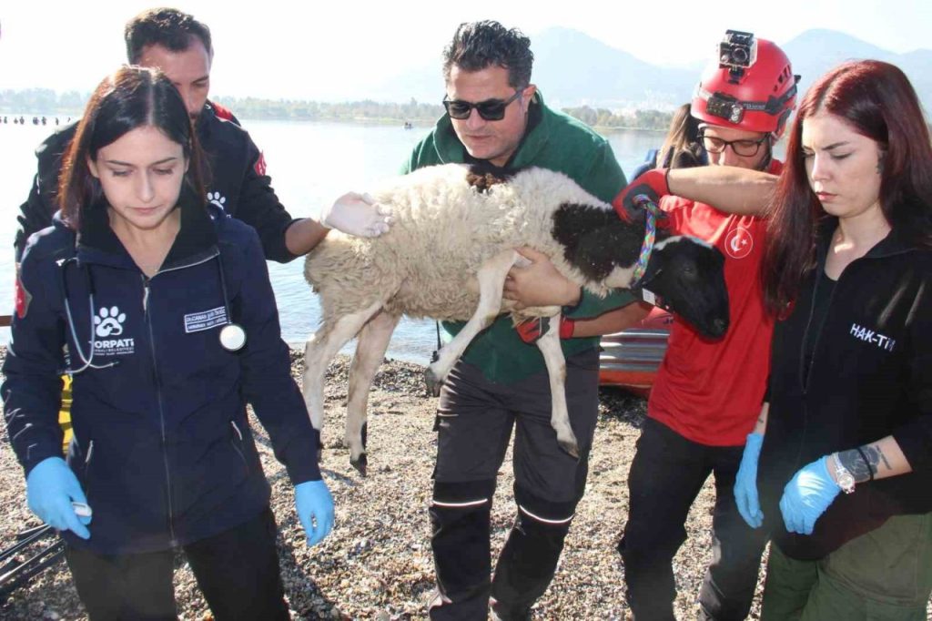 sel felaketi riski tasiyan izmirde afaddan tatbikat 41090c09ed0c |