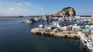 silede bu yil palamut avi beklenenin cok altinda kaldi cc0a05b46f78 |
