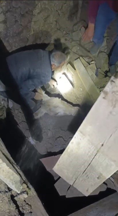 sindirgida enkaz altinda kalan esek canli kurtarildi c146f3418b54 |