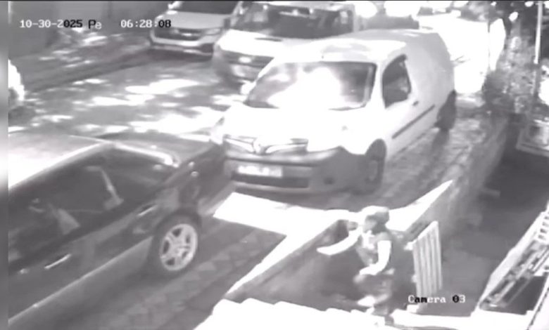 Sultangazi’de paletleri kamyonete yükleyip çaldılar: 1’i kadın 2 hırsız rahat tavırlarıyla dikkat çekti 1 sultangazide paletleri kamyonete yukleyip caldilar 1i kadin 2 hirsiz rahat tavirlariyla dikkat cekti eb000095e2ea |