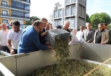 tagsis ile mucadelede en onemli ayak bilincli tuketici b86da62df8bd |