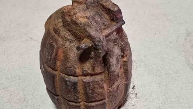 Tarlada el bombası bulundu 6 tarlada el bombasi bulundu 19ea8d62cb1f |
