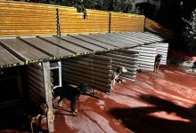 tepkiye neden olan goruntuler sonrasi emniyet harekete gecti 65ee798799ea |
