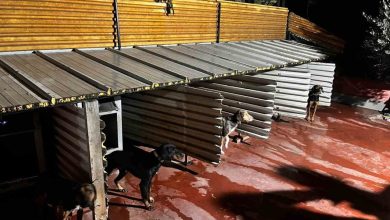 tepkiye neden olan goruntuler sonrasi emniyet harekete gecti 65ee798799ea |