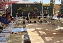tsydden ankara binicilik kupasi 120 sporcu katilacak ve 400 bin lira odul dagitilacak c8e68cece51a |